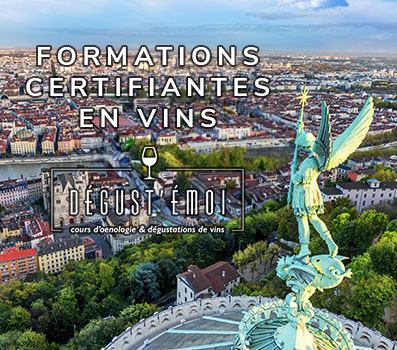 Formations certifiantes lyon