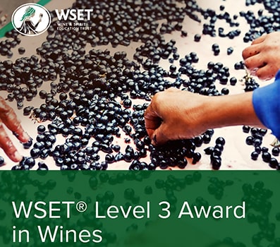 formation WSET en vins niveau 3