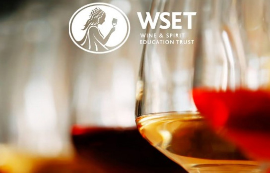 WSET 1 en vins - Niveau Débutant