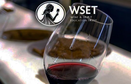 WSET 3 en vins - Niveau Avancé